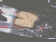 lotus28.jpg (53109 bytes)